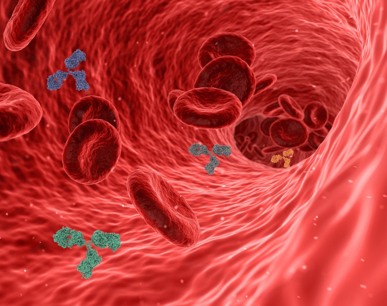 Immunsystem stärken: Die besten Strategien