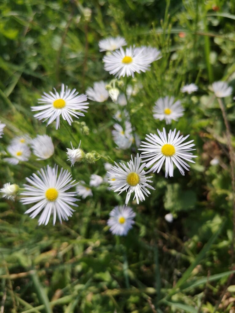 entdecken sie die vorteile des sous-vide-garens: pr&auml;zise temperaturkontrolle f&uuml;r saftige, zarte und geschmackvolle gerichte. perfekt f&uuml;r hobbyk&ouml;che und profis.