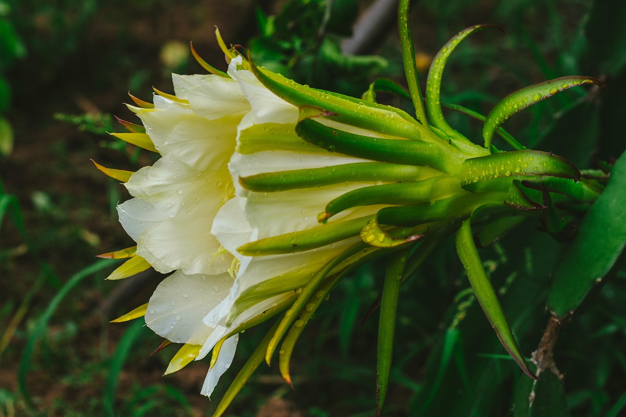 gesunde kinderernährung: tipps und ratschläge für eine ausgewogene und nahrhafte ernährung, die das wachstum und die entwicklung ihres kindes unterstützt.
